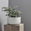 THE PLANT SOCIETY Esko Planter In White Medium Planters