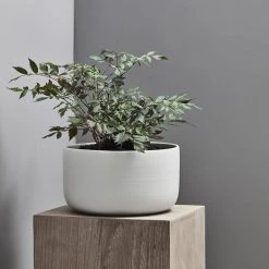 THE PLANT SOCIETY Esko Planter In White Medium Planters