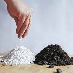 Premium Blend Potting Mix By The Plant Society Plant Care