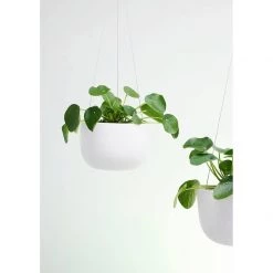 THE PLANT SOCIETY Raw Earth Hanging Planters By Angus & Celeste 31 THE PLANT SOCIETY Raw Earth Hanging Planters By Angus & Celeste