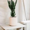 Scallop Planter By The Plant Society X Capra Designs- Totem Collection -