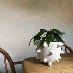 THE PLANT SOCIETY Spike Planter By Buzzby & Fang All Planters