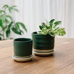 THE PLANT SOCIETY Straight Planter By Katherine Mahoney All Planters