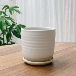 THE PLANT SOCIETY Straight Planter By Katherine Mahoney All Planters