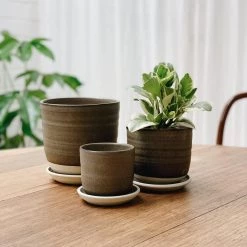 THE PLANT SOCIETY Straight Planter By Katherine Mahoney All Planters