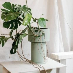 Tall Tower Planter By The Plant Society X Capra Designs- Totem Collection - Totem Collection By The Plant Society