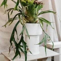 Tall Tower Planter By The Plant Society X Capra Designs- Totem Collection - Totem Collection By The Plant Society 19 Tall Tower Planter By The Plant Society X Capra Designs- Totem Collection - Totem Collection By The Plant Society