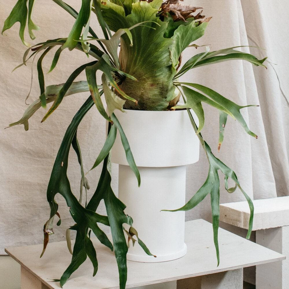 Tall Tower Planter By The Plant Society X Capra Designs- Totem Collection - Totem Collection By The Plant Society 7 Tall Tower Planter By The Plant Society X Capra Designs- Totem Collection - Totem Collection By The Plant Society