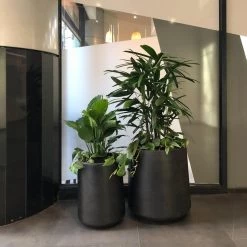 THE PLANT SOCIETY ONLINE OUTPOST Tapered Planter In White