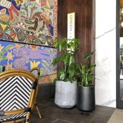 THE PLANT SOCIETY ONLINE OUTPOST Tapered Planter In White