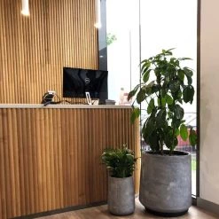 THE PLANT SOCIETY ONLINE OUTPOST Tapered Planter In White