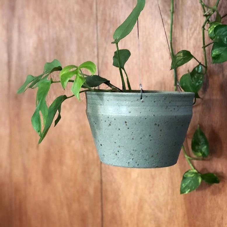 THE PLANT SOCIETY Hanging Planters Lichen Green Hanging Ridge Planter By Alison Frith 3 THE PLANT SOCIETY Hanging Planters Lichen Green Hanging Ridge Planter By Alison Frith