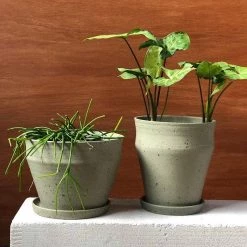 THE PLANT SOCIETY All Planters Lichen Green Ridge Planters By Alison Frith