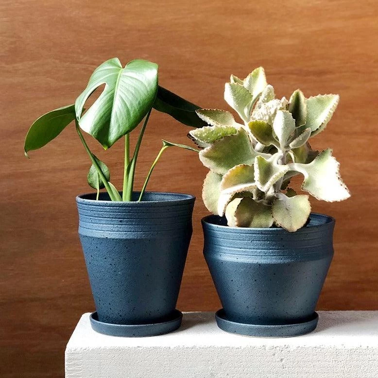 THE PLANT SOCIETY Shibori Blue Ridge Planters By Alison Frith 4 THE PLANT SOCIETY Shibori Blue Ridge Planters By Alison Frith