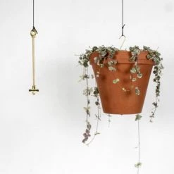 The Plant Society 30 THE PLANT SOCIETY Hanging Planters Bolty Hanging System By Botanopia