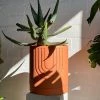 THE PLANT SOCIETY Large Etch Planter By Capra Designs
