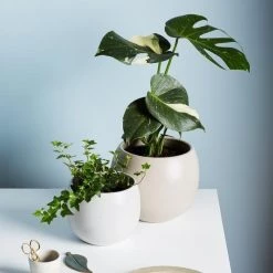 THE PLANT SOCIETY Bower Planter In Slate By Evergreen Collective