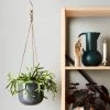 THE PLANT SOCIETY Mio Hanging Planter By Evergreen Collective Hanging Planters