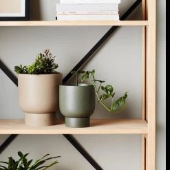 THE PLANT SOCIETY Charcoal Finch Planter By Evergreen Collective