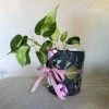 THE PLANT SOCIETY Gift Wrapping Service - Wrapping Paper Gift Voucher