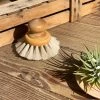 THE PLANT SOCIETY Dish Brush Round With Knob By Iris Hantverk