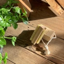 THE PLANT SOCIETY Nail Brush Simple By Iris Hantverk