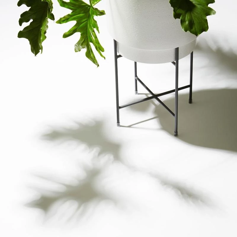 THE PLANT SOCIETY All Planters Charcoal Iris Plant Stand By Evergreen Collective