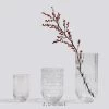 THE PLANT SOCIETY Colour Vase In Clear By HAY