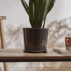 THE PLANT SOCIETY Botanical Family Pot In Anthracite By HAY