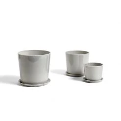 THE PLANT SOCIETY Small Planters Botanical Family Pot In Light Grey By HAY