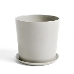 THE PLANT SOCIETY Small Planters Botanical Family Pot In Light Grey By HAY