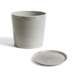 THE PLANT SOCIETY Small Planters Botanical Family Pot In Light Grey By HAY