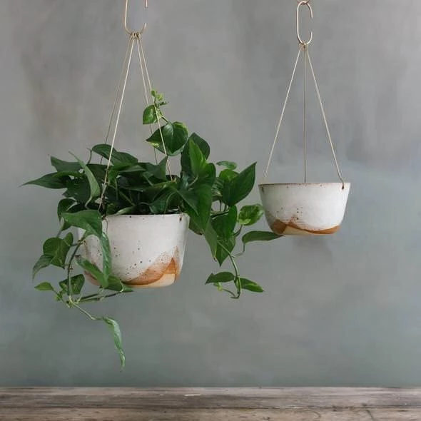 THE PLANT SOCIETY Hanging Planters Glacier Brass Hanging Planter By Leaf & Thread 3 THE PLANT SOCIETY Hanging Planters Glacier Brass Hanging Planter By Leaf & Thread