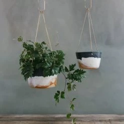 THE PLANT SOCIETY Hanging Planters Landscape Brass Hanging Planter By Leaf & Thread
