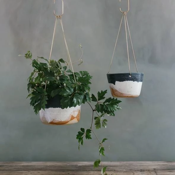 THE PLANT SOCIETY Hanging Planters Landscape Brass Hanging Planter By Leaf & Thread 3 THE PLANT SOCIETY Hanging Planters Landscape Brass Hanging Planter By Leaf & Thread