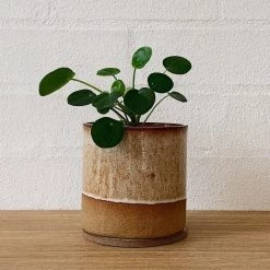 THE PLANT SOCIETY Caramello Planter By Jenn Johnston All Planters