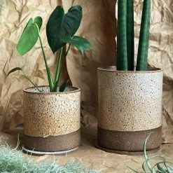 THE PLANT SOCIETY Caramello Planter By Jenn Johnston All Planters