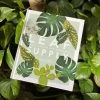 THE PLANT SOCIETY Leaf Supply - A Guide To Keeping Happy Houseplants By Lauren Camilleri & Sophia Kaplan All Homewares
