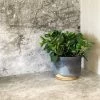 THE PLANT SOCIETY All Planters Midnight Sky Planter By Leaf & Thread