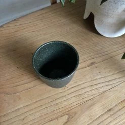 THE PLANT SOCIETY Beaker By Lisa Peri