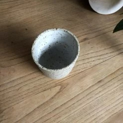 THE PLANT SOCIETY Beaker By Lisa Peri