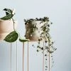 THE PLANT SOCIETY Small Luna Planter By Evergreen Collective