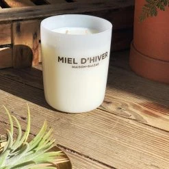 THE PLANT SOCIETY Miel D'Hiver Candle By Maison Balzac & Messina All Homewares