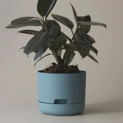 THE PLANT SOCIETY Small Planters Self Watering Planter 170mm By Mr Kitly