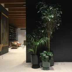 THE PLANT SOCIETY Large Palm Springs Planter By Lightly