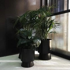 THE PLANT SOCIETY Large Palm Springs Planter By Lightly