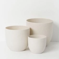 THE PLANT SOCIETY Dido Planter By Papaya Medium Planters