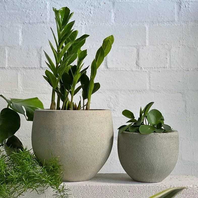 THE PLANT SOCIETY Pedra Planter By Papaya 3 THE PLANT SOCIETY Pedra Planter By Papaya