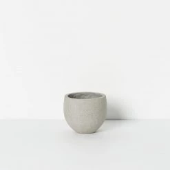 THE PLANT SOCIETY Pedra Planter By Papaya 10 THE PLANT SOCIETY Pedra Planter By Papaya