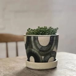 THE PLANT SOCIETY ONLINE OUTPOST Blue U Wood Fired Planters By Sandra Bowkett All Planters